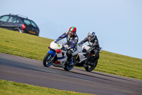 PJ-Motorsport-2019;anglesey-no-limits-trackday;anglesey-photographs;anglesey-trackday-photographs;enduro-digital-images;event-digital-images;eventdigitalimages;no-limits-trackdays;peter-wileman-photography;racing-digital-images;trac-mon;trackday-digital-images;trackday-photos;ty-croes